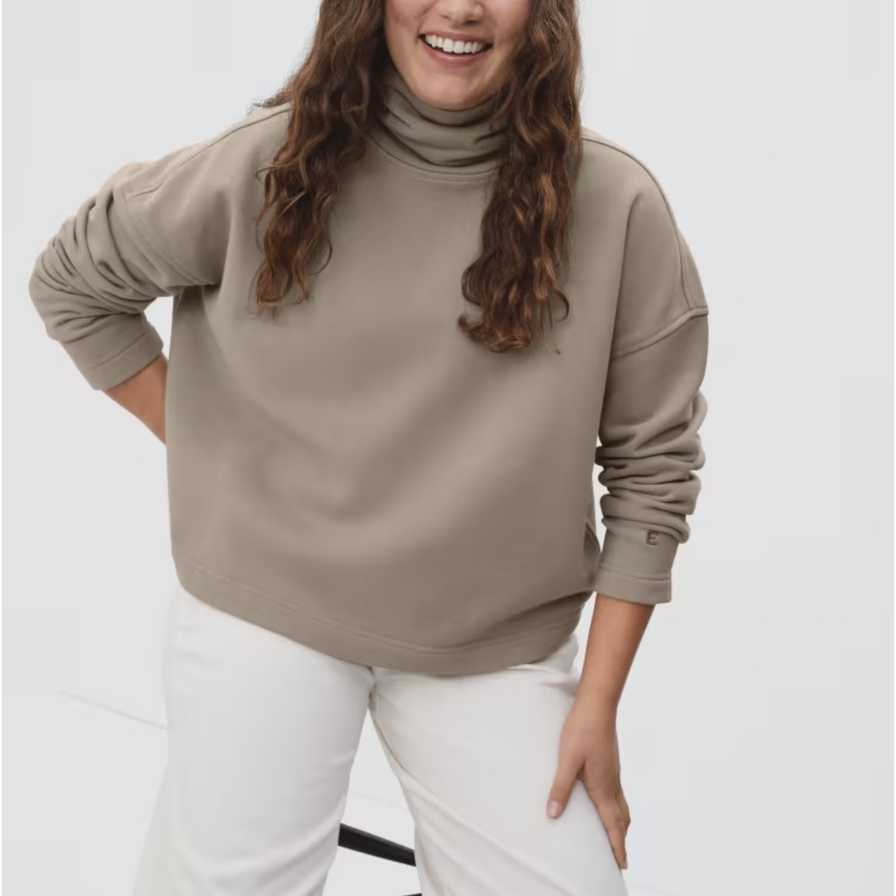 Everlane Taupe Funnel-Neck Sweatshirt